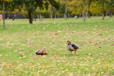 DSC_0598 (Large).JPG